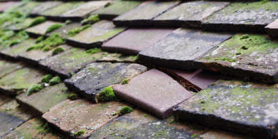 Aldreth roof repair costs